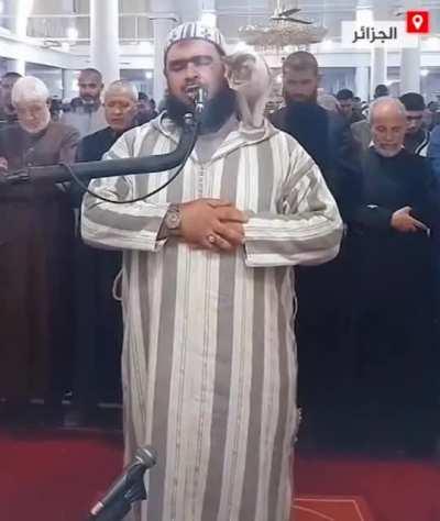 Cat jumps on Imam reciting Ramadan prayers in Algeria
