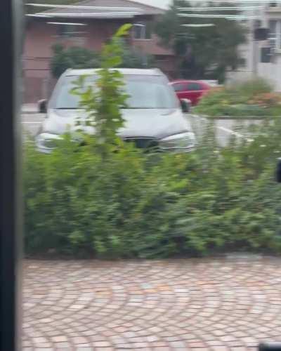 Stefana Sandu has an incredible upper body