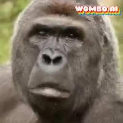 Every time ape get adopted on this sub