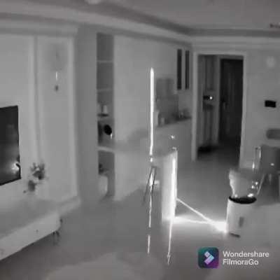 Roomba Ranger & Meowing Mechanic, Surveillors of the Mansion [Optional Bossfight]