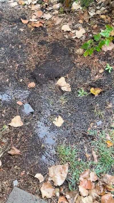 From a cozy rainy day a couple weeks back