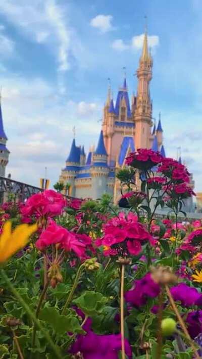 Happy first day of Spring!