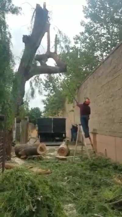 Why people forgot what gravity can do?