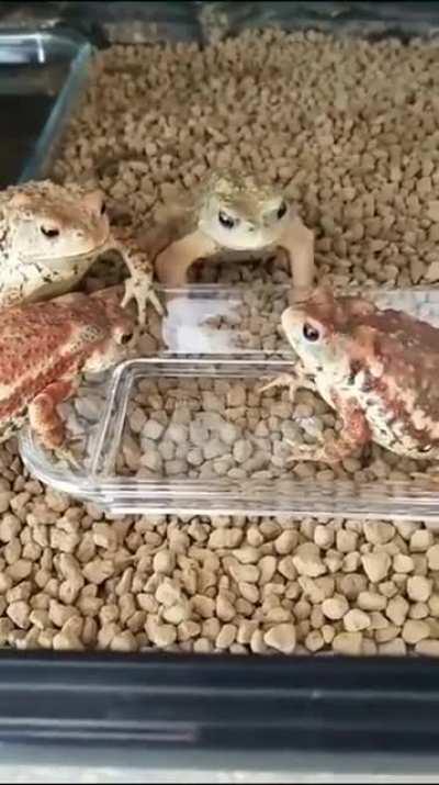 Gettin' real sick of your shit, Carl