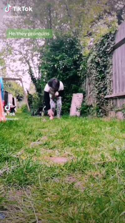 I don't have a problem with pronouns Btw