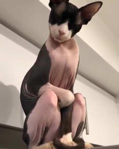 When your pet alien thinks the refrigerator is the toilet