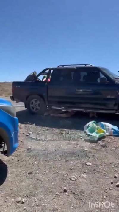 Neuquén: le quisieron decomisar lechones y chivitos para vender y los pisó. Ocurrió en la Ruta 40, cerca de Las Lajas. Ante la decisión de los gendarmes comenzó a bajar los animales, los puse en fila y los pisó con la camioneta. 