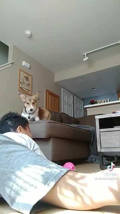 It’s crazy thinking that he thought this was a good idea