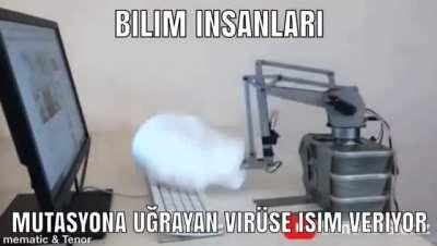 SARS-CoV-2 VUI 202012/01