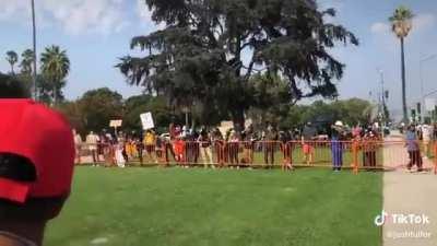 When a trump rally has more black people than the opposite BLM side