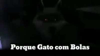 cena cortada do gato de bolas