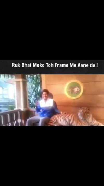 Ayoo Human what happened