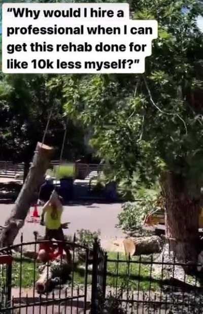 Budget tree removal