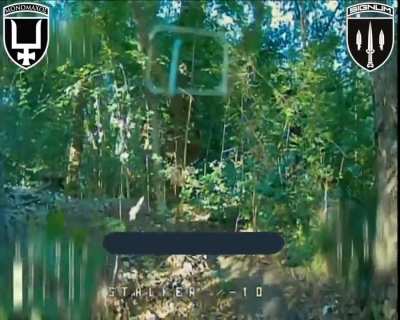 Ukrainian fiber optic drone flew through a dense forest to hit Russian UAV operators. SIGNUM Battalion, Lyman direction. May 27, 2025