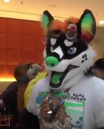 The truely only good post posted on Yiffinhell