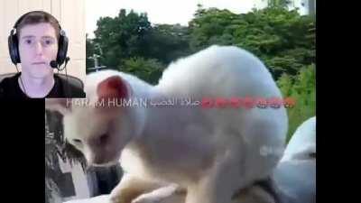 no kiss before marriage