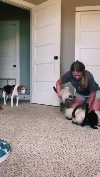 Mommy got swarmed by impatient kids