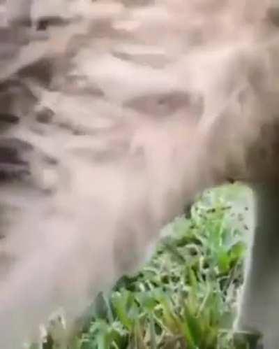 La naturaleza nunca dejará de sorprenderme