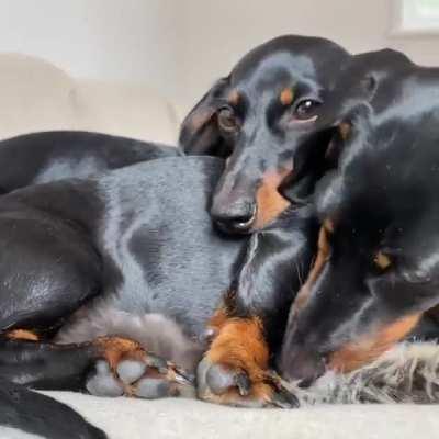 Keeping each other warm