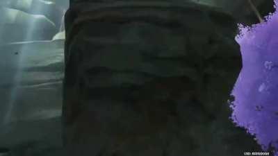 I shouldn't have laughed while making this