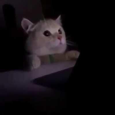 When you've been practicing black theory for a month and you get the whites in the first game.