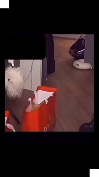 Q vídeo bom KKKKKKK