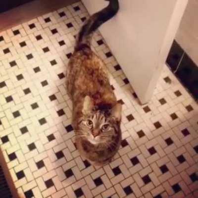 Singing partner 😸