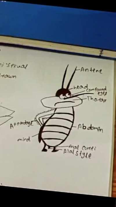 Moj Masti Nhi Rukni Chahiye 👽👽