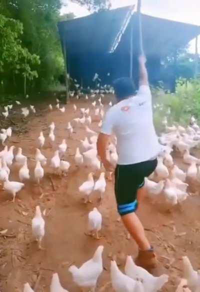 Tshirt guy leader of the legion of ducks