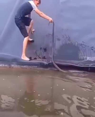 You're gonna have a real issue in the foreseeable future