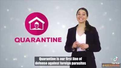 When the Australian government pisses off the lady who explains how to fill out your customs declaration forms on the plane