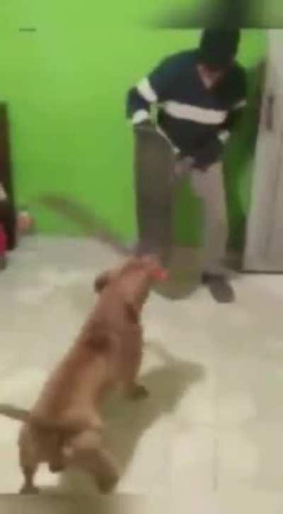 A true master of the blade