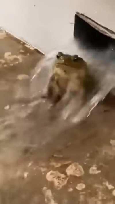 Hell yeah he’s slurping