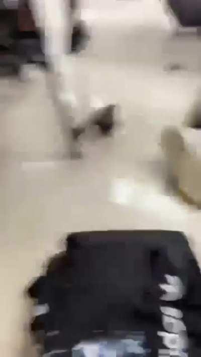 Fight at my school
