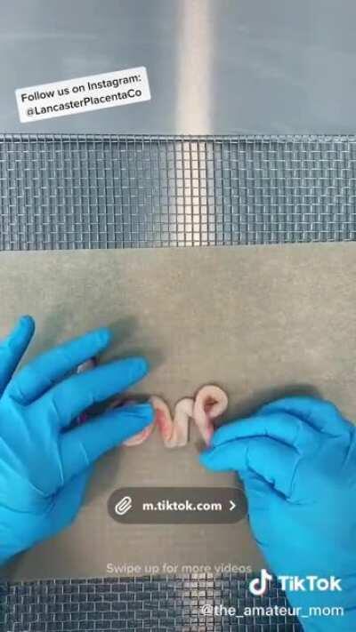 What the actual hell did I just watch