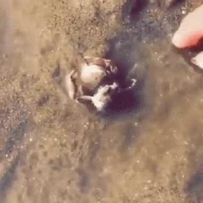 Please don’t take my friend!