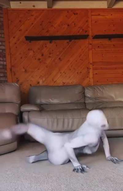 She’s pretty flexible.