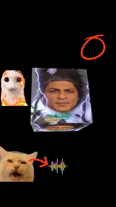 Billi Arjun ☝️🤓🗣️😭🔥🫄