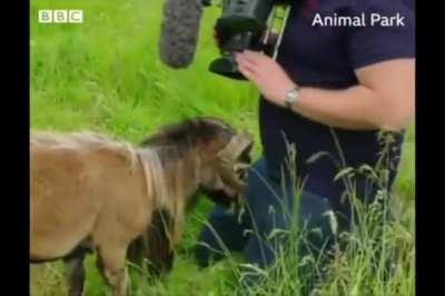 With a little collaboration