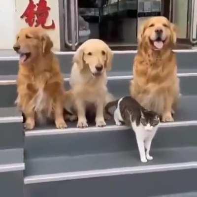 Все должны быть на фотографии!