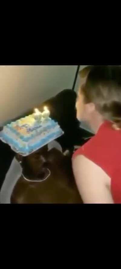 Funny meme I found in YouTube with some of Abel's songs. Heard Often in the beginning, XO/The Host in the middle and Call Out My Name in the near end. Didn't recognise anything else bcoz the dude was talking.