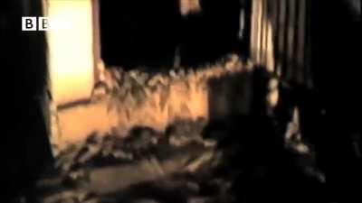 Ya'll remember this BBC docu about Rat Invasion in Australia? No? Well, goodluck forgetting this one.