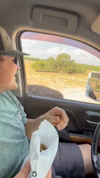 Making the most of it!