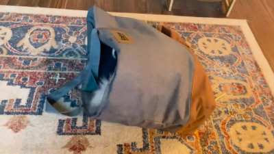 “A NEW HOME AND ZERO RULES”