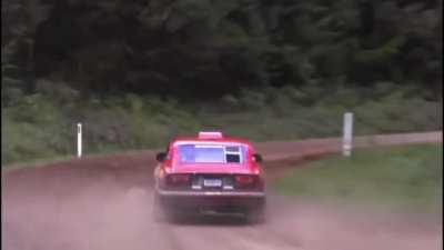 Anyone like Rally Datsuns?