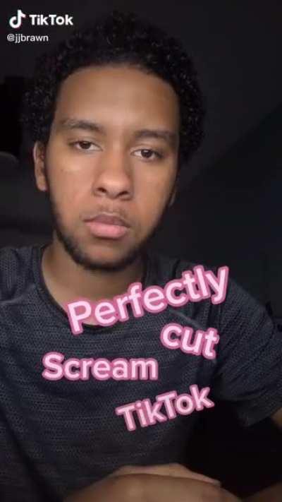 Perfectly Cut Scream Tik Tok