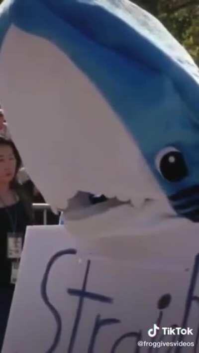 Straight lives matter parade