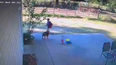 I guess driving kid to school without your kid is a great idea!