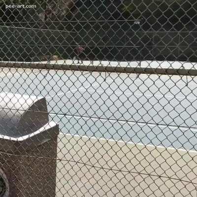 Sneakily peeing on tennis court 🎾