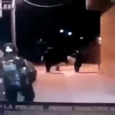 Dont mess with da cops